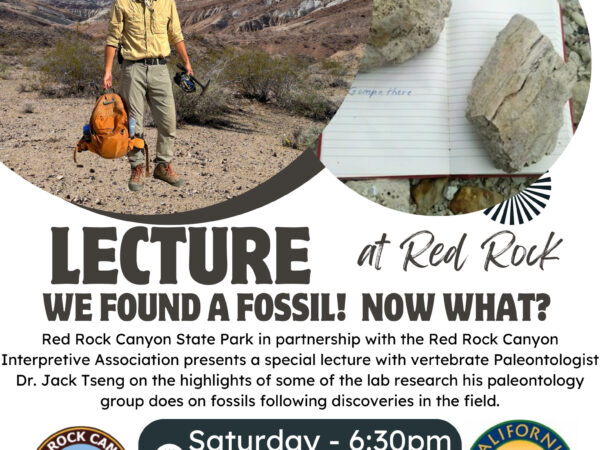 We Found A Fossil! No What?