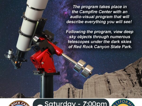 The Majesty of the Night Sky